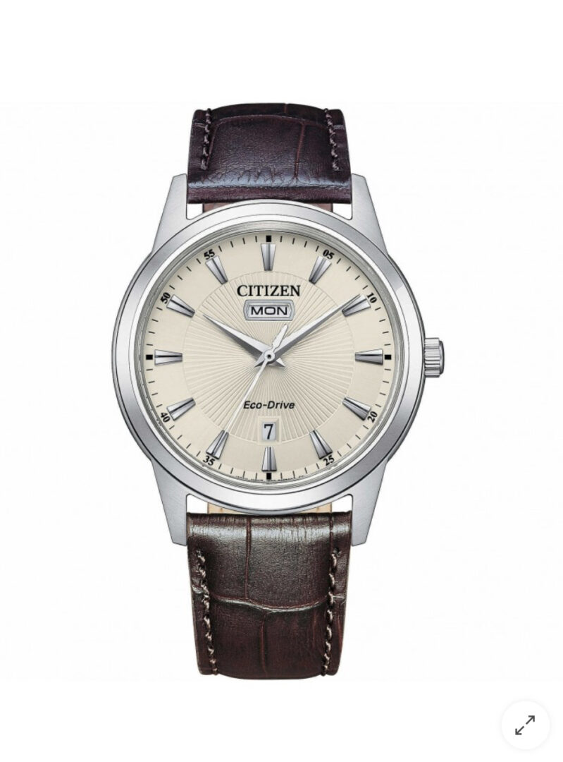 Citizen Uomo Ecodrive Classic in Acciaio Tempo e Data AW0100-19A