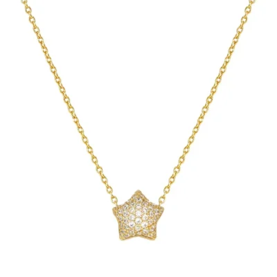Girocollo in Argento Nomination Lifepoetry Stella Bombata 242704/009